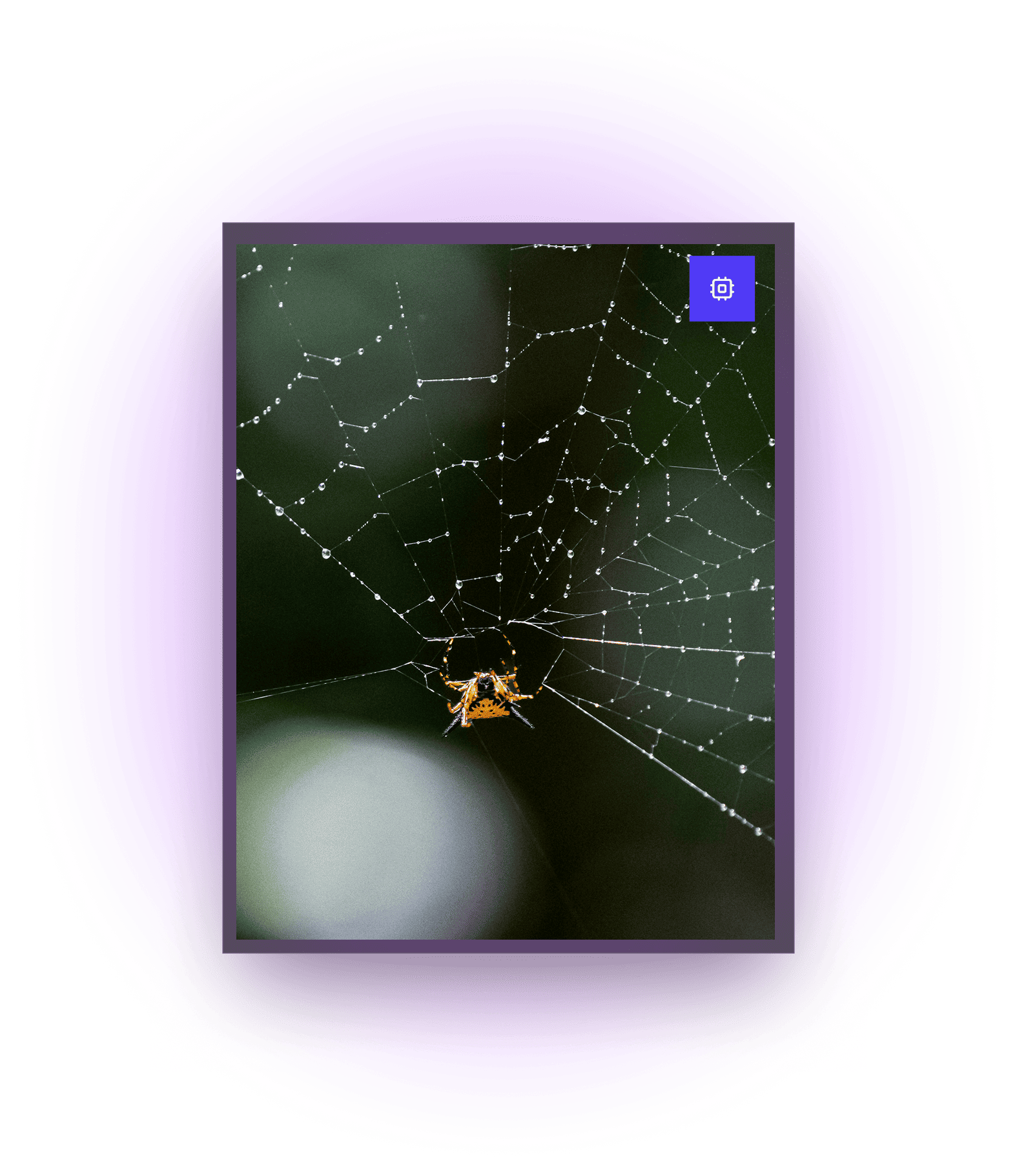 Veniteck Software Development Feature Section